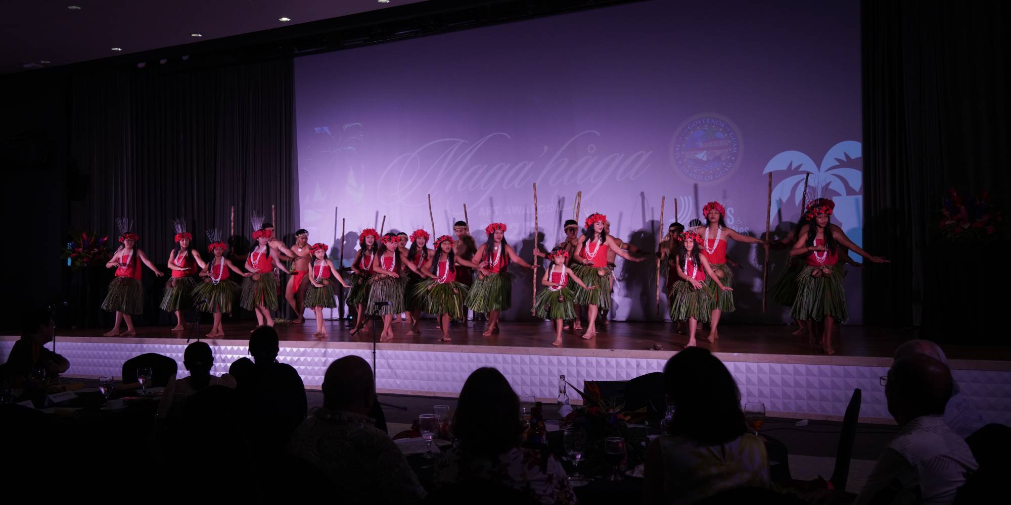 guam CAHA banner